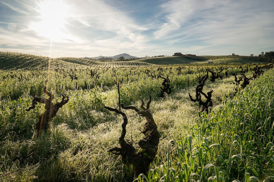 Ridge's Esoteric Excellence: Tasting of 1999-2020