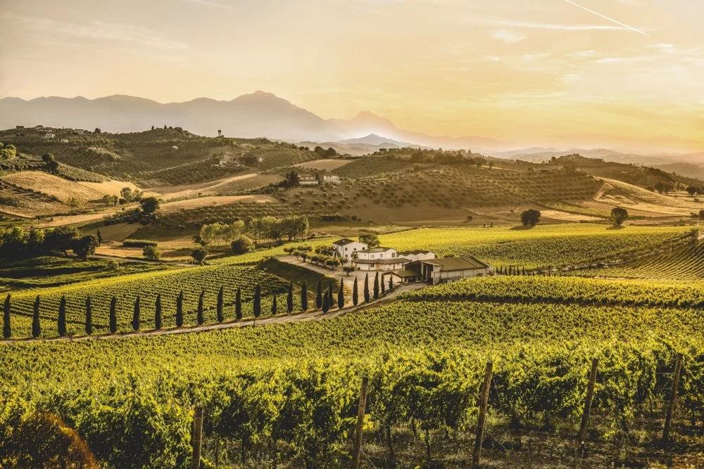Appreciation for Abruzzo Tasting Ticket