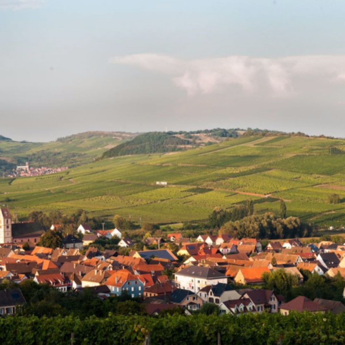 Domaine Valentin Zusslin