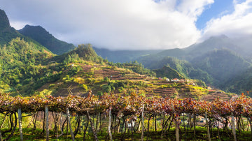 Atlantic Portugal: Grand Crus From Portugal's Coast and Islands