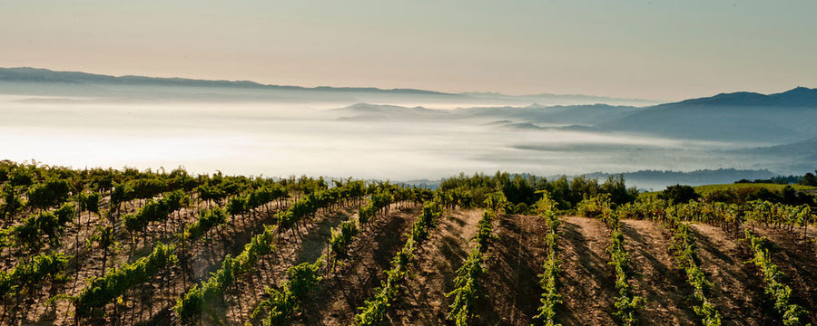 Monte Bello Retrospective Tasting