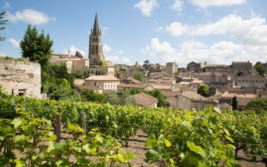 Saint-Emilion Walk Around Tasting